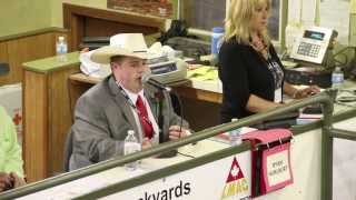 2013 LMAC Auctioneer Championship  Winners [upl. by Stoughton]