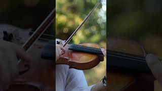 Everything That Kills Me Makes Me Feel Alive onerepublic countingstars violin fyp violincover [upl. by Fusuy]