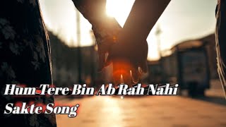 Hum Tere Bin Ab Reh Nahi Sakte Lyrics Song  Arijit Singh  हम तेरे बिन अब रह नहीं सकते Song [upl. by Rennie]