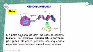 311  O ESTUDO DO DNA  BIOLOGIA  1º ANO EM  AULA 3112024 [upl. by Garcia984]