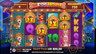 casino signup bonus 1000free spins casino bonuscasino bonus for registration without wagering [upl. by Cornelia750]