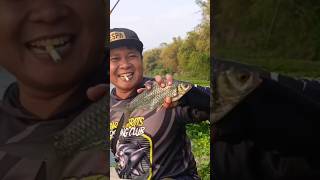 moster tawes atlet DwiPurwanta fishing mancingtawesbabon mancing [upl. by Eicyac]