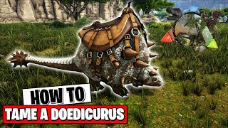 ARK SURVIVAL  HOW TO TAME A DOEDICURUS [upl. by Ymrots]