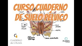 CURSO CUADERNO DE CIRUGÍA DE SUELO PÉLVICO OCT 24 [upl. by Araeit]