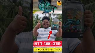 BETTA FISH 🐠 TANK SETUP IN COFFEE MAKER ☕ DIY  jeelanivlogger aquarium tanksetup [upl. by Herod]