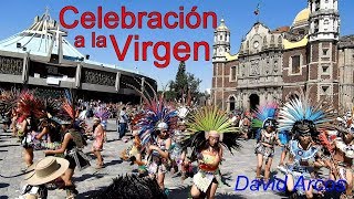 Celebración a la Virgen 2017  Basílica de Guadalupe  Ciudad de México  4KUHD [upl. by Hedva]