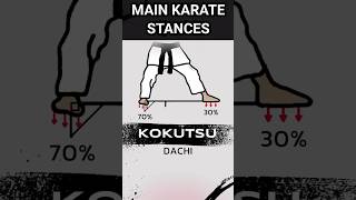 MOST IMPORTANT SHOTOKAN KARATE STANCES  karatesir karate stances [upl. by Blakeley]