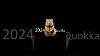 2024 quokka 5000bce quokka animals quokka trending [upl. by Leorsiy]