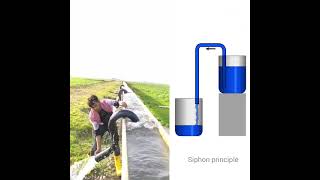 Siphon for irrigation  Siphon principle [upl. by Santini820]