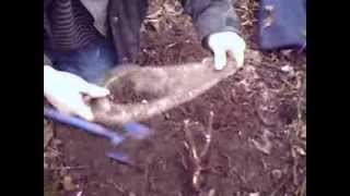 WW2 aircraft aluminium part find at Burtonwood USAAF Airfield [upl. by Minor]