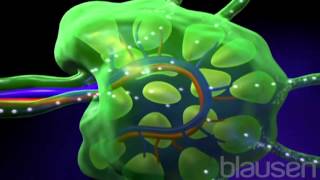 Lymphoma Animation [upl. by Marijn860]