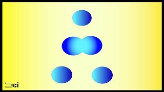 MITOSIS  Cell division explained in Tamil [upl. by Worlock]