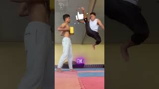 The Most Insane Kicks martialarts [upl. by Hsivat138]