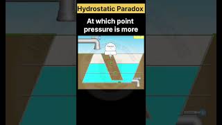 Hydrostatic Paradox shortsfeed pressure physics experiment practical education trending [upl. by Guod]