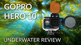 GoPro Hero 10 Underwater Camera Review [upl. by Colson44]