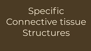 specific connective tissue structures [upl. by Lewellen]