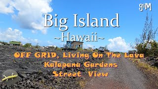 OFF GRID Living On The Lava  Kalapana Gardens  Big Island Hawaii Homes [upl. by Seibold592]