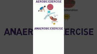 ⚡️Aerobic Energy Vs Anaerobic Energy For Exercise⚡️shorts [upl. by Alejandro531]