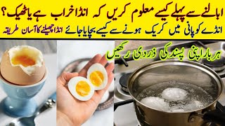 How to Boil an Egg  How to Boil Half Boiled Eggs  Egg Boil karne ka tarika [upl. by Udelle]