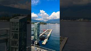 Seaplane Landing Vancouver Harbour seaplane plane [upl. by Comethuauc]