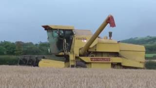 Harvest 2016 New Holland Clayson 8060 Combine Harvester [upl. by Fernas]