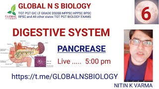 Digestive system Lecture 6 [upl. by Donell]