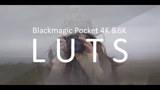 Blackmagic Pocket 4K amp 6K LUTS [upl. by Welles561]