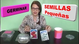 Como germinar semillas muy pequeñas usando envases reciclados de carton y plastico 16 [upl. by Horn]