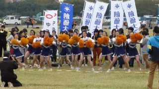 第90回箱根駅伝予選会 創価大学応援シーン [upl. by Pippas737]