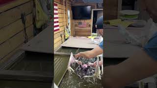 How to do hydrographic application howto diy learn custom country hydrodip [upl. by Mccourt]