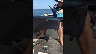 Monster Fish  How did he Get it shorts fishing billfish sailing ocean new today boat new [upl. by Airad290]