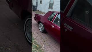 1988 cutlass supreme 😎 cutlass supreme gbody [upl. by Zaccaria62]