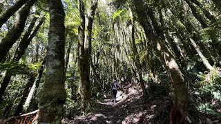 Morning trail run  Western Okataina Track amp Twin Lakes Track Rotorua NZ [upl. by Eiramesor]