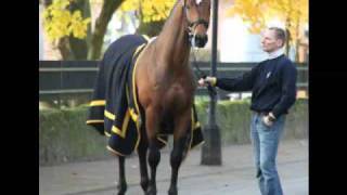 wwwreitschulesandbrinkde Merry Christmas  Our Horses 2010 [upl. by Beret]