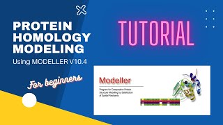 Protein Homology Modeling with Modeller 104  For Beginners [upl. by Ashlee]