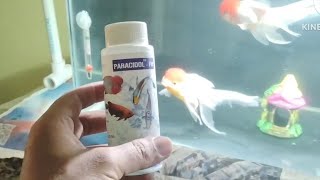 How to treat external parasites and fish lice on aquarium fishes  Best medicine Dipayan Aquatics [upl. by Ahslek851]