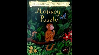 EP19 MONKEY PUZZLE  STORIES FOR KIDS [upl. by Ellehcer]