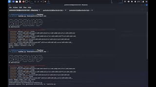 ROPDump Detect Buffer Overflow Vulnerabilities amp Memory Leaks in Binaries [upl. by Sidwell]