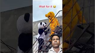 Murshad ke sath kya hua🤣……funnyshorts teddy panda comedy [upl. by Calbert]