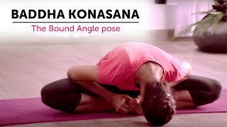 Baddha Konasana  The Bound Angle pose  Steps  Yogic Fitness [upl. by Sellma]