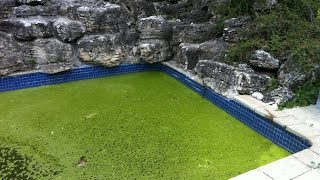 How To Remove Phosphates From Pool Water [upl. by Yerfej618]