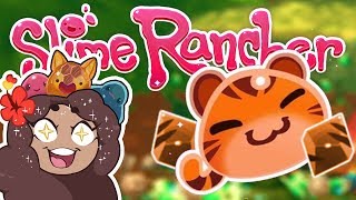 Adorable TigerTabby Slimes ☄️ Slime Rancher Secret Styles [upl. by Christalle]