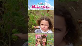 Regras de Conduta na Fazenda infantil crianças shorts [upl. by Taddeo]