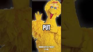 NASA Wanted To Kill BIG BIRD podcast relatablepodcast funny relateable comedy [upl. by Philbert]