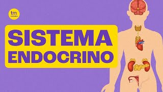 SISTEMA ENDOCRINO Descubre su Función y Partes [upl. by Ninazan]