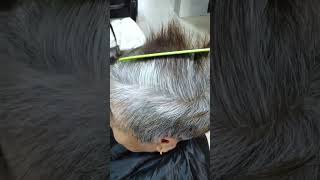 Hair Dye Shampoo Gray to Black 3 in 1 Herbal Dyeing  Easy Hair Dye [upl. by Leivad641]