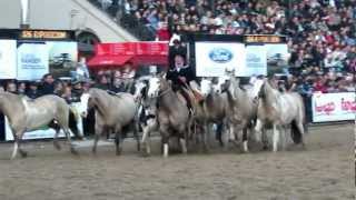 Entrevero de tropillas en La Rural 2012 [upl. by Ecenahs]