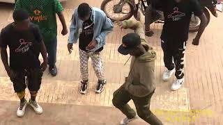 Portable X Poco Lee ft Olamide ZaZoo Zehh best dance Challenge [upl. by Cirdla]