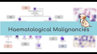 HAEMTEAM Haematological Malignancies 😈 [upl. by Immas]