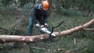 Stihl MS 211 Motorsäge Kaltstart u arbeiten am liegenden Holz chainsaw cold start delimbing trees [upl. by Mcnally]